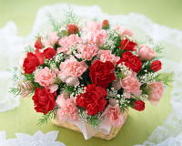 �����������������C���[�W